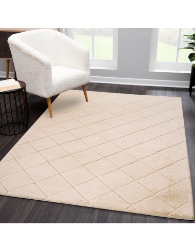 Tapis beige uni poils longs tout doux  - GIA Toutes les collections ici