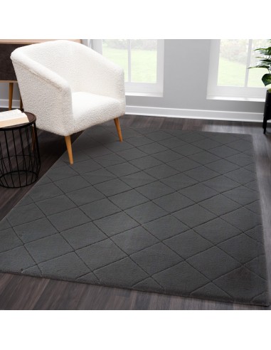 Tapis anthracite uni poils longs tout doux  - GIA pas cher