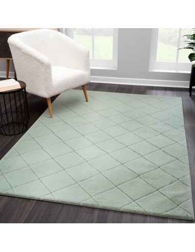 Tapis vert uni poils longs tout doux  - GIA 50% de réduction en Octobre 2024