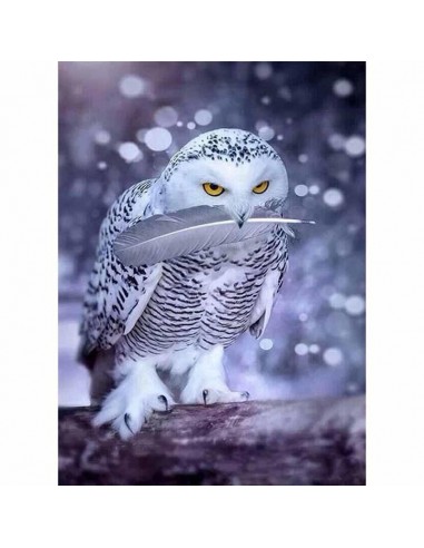 Hibou & Neige Pour