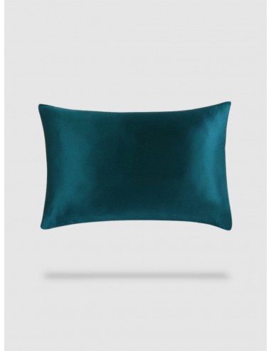 housse de coussin  soie de murier 40x60 Amélioration de cerveau avec