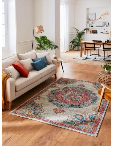 Tapis vintage multicolore - ALANYA Profitez des Offres !