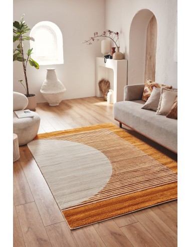 Tapis de salon à poils ras motif demi-cercle Ocre : NEL790OCR Paris Déstockage Promo