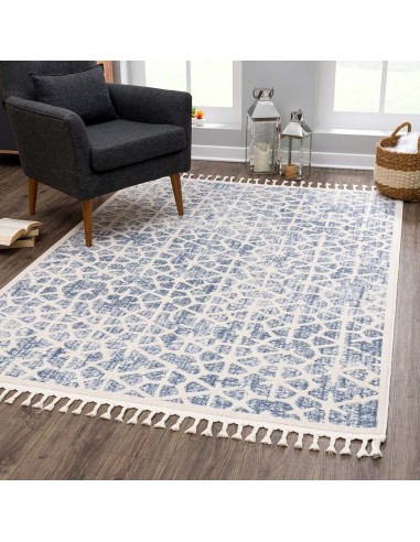 Tapis scandinave bleu et crème avec des franges tressées le des métaux précieux