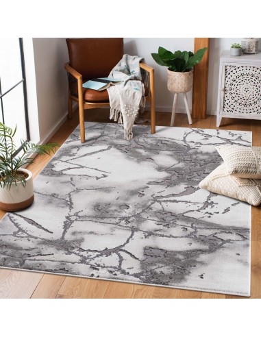 Tapis effet marbré gris et blanc - PRIA En savoir plus