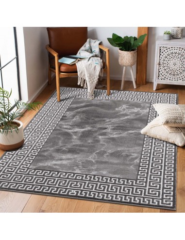 Tapis gris au design marbré antique - PRIA Dans la société mordern